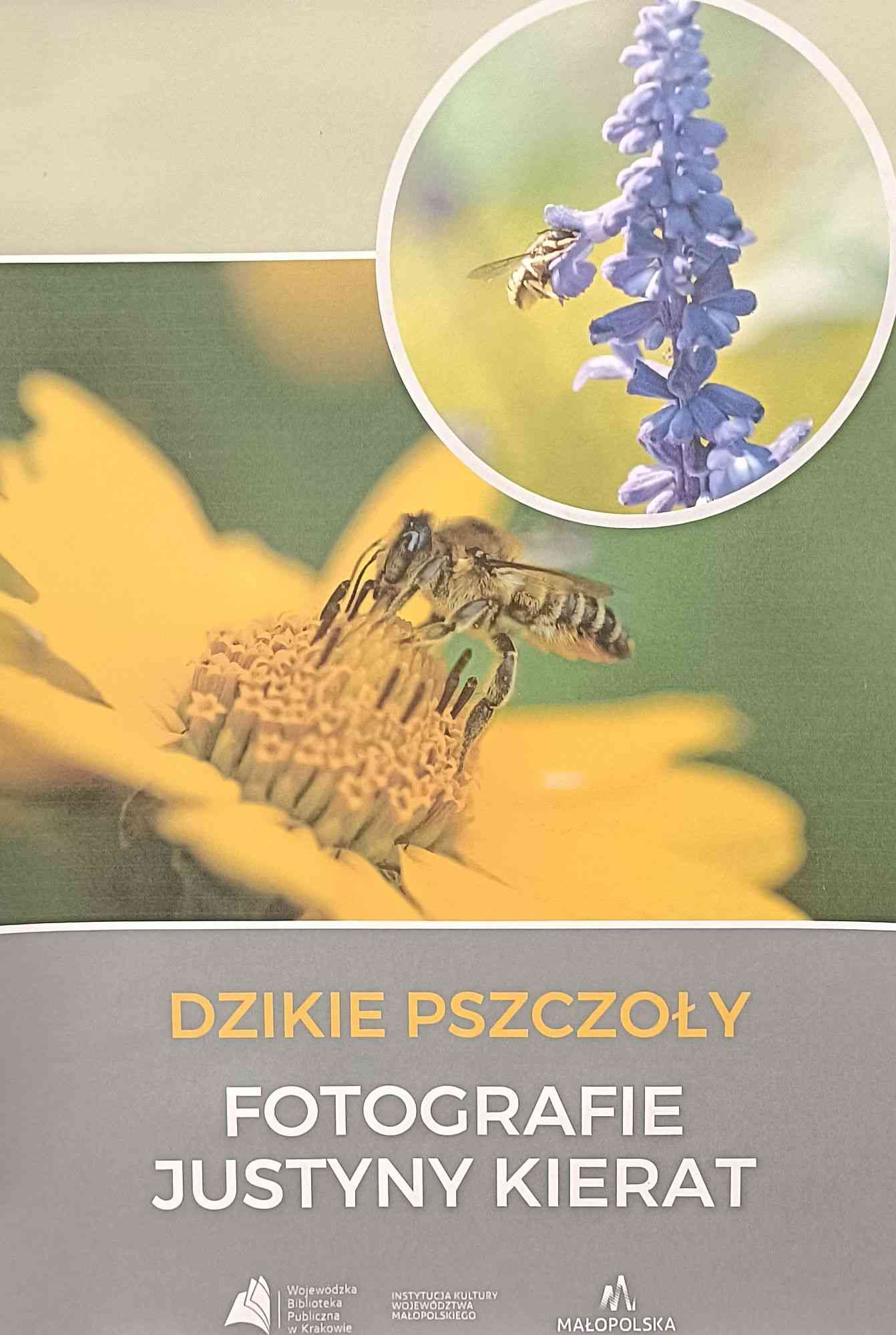 Wystawa fotografii Justyny Kierat "Dzikie pszczoły"