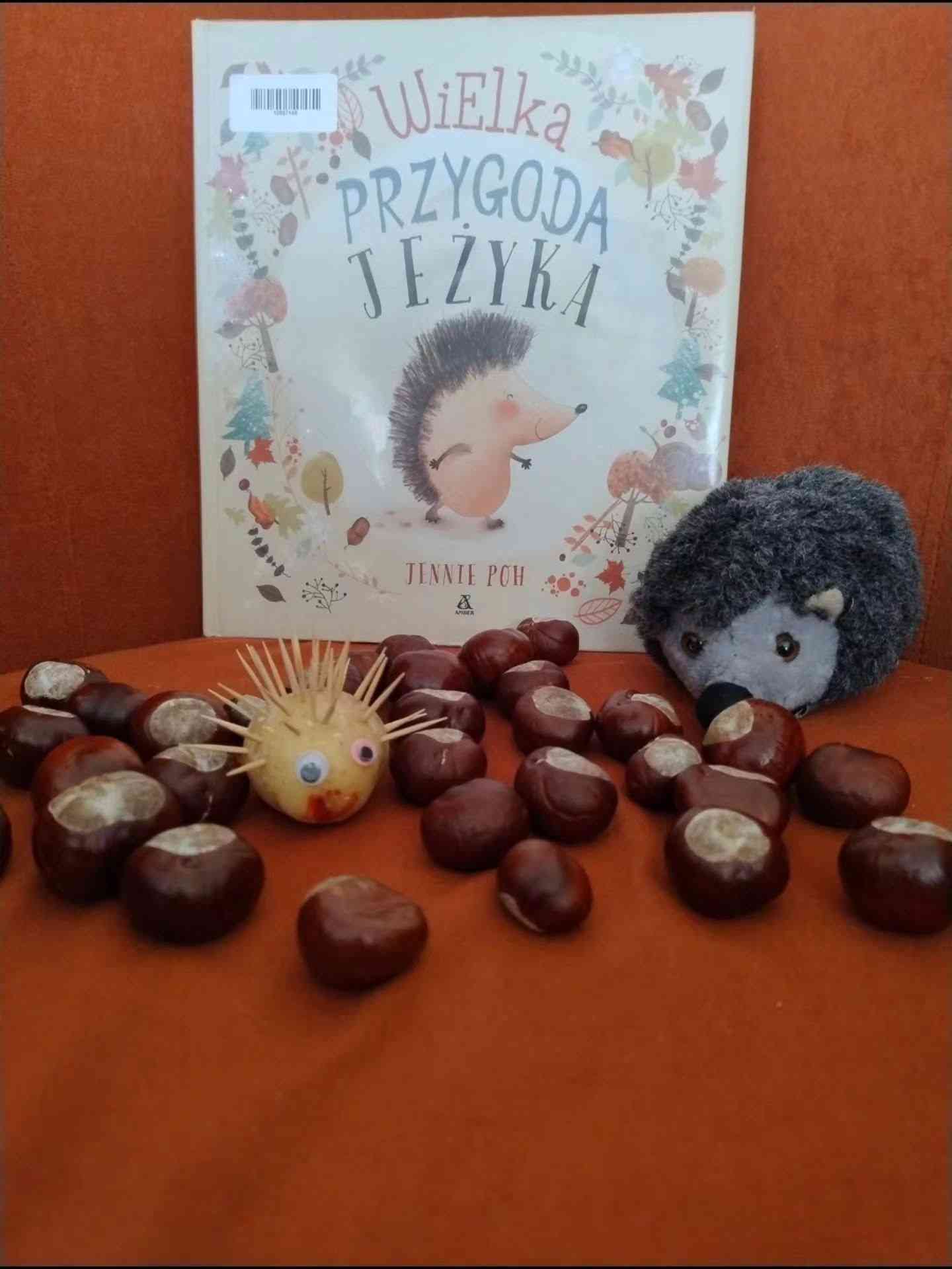DKK w Porębie Żegoty - 13.10.2026